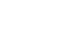 2D Motors